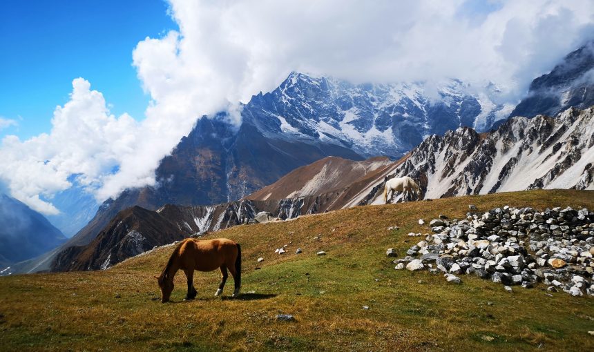 Langtang Valley Yoga Trek