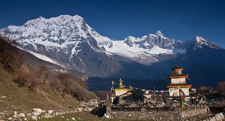 The image shows a charming Himalayan village set against a stunning mountain backdrop. In the foreground, there’s a traditional stone temple with a tiered roof and colorful prayer flags, reflecting the local culture.
In the background, a majestic snow-capped mountain range, likely part of the Manaslu massif, rises into the sky. The sunlight highlights the peaks and casts long shadows across the valleys, creating a beautiful contrast with the peaceful village.
The clear blue sky adds to the scene’s calm and natural beauty, giving a sense of tranquility and isolation in this remote part of the Himalayas.

