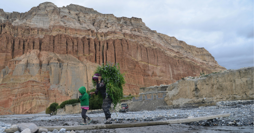 The image shows a woman and a small child carrying green grass. Behind them are sand-colored hills, and below, a tractor is visible. They are walking along a narrow wooden path that crosses a river, with the land around them covered in stones.