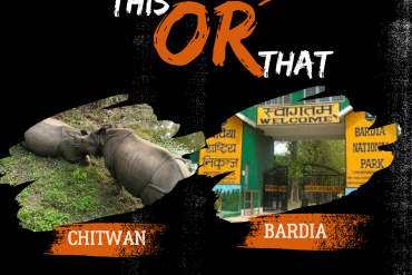 A comparison image of Chitwan and Bardia National Parks in Nepal. The left side shows two rhinoceroses resting in Chitwan, while the right side shows the entrance gate to Bardia National Park with the words "Welcome" and "Bardia National Park" written in English and Nepali. The caption above the image reads "This or That."