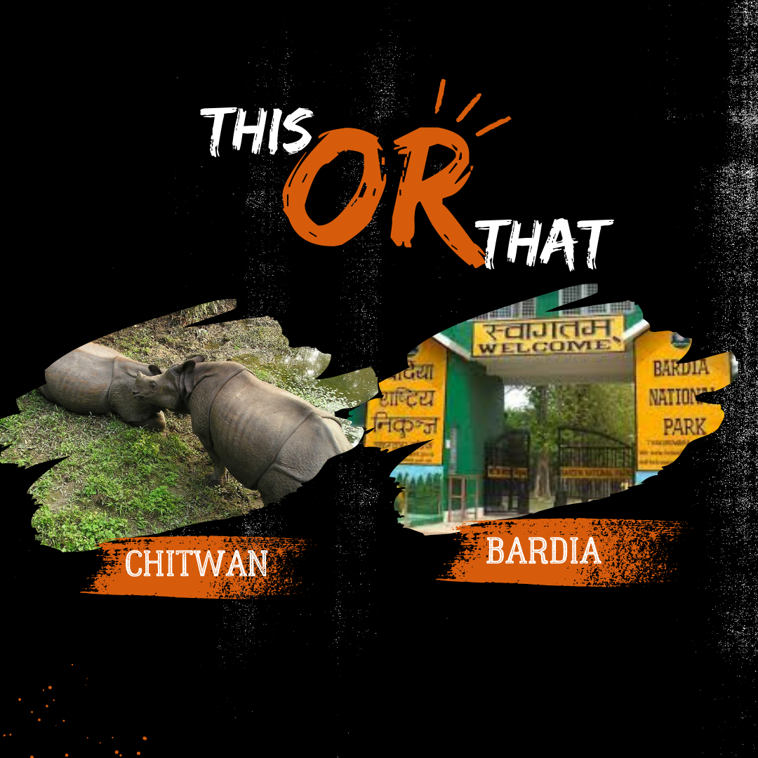 A comparison image of Chitwan and Bardia National Parks in Nepal. The left side shows two rhinoceroses resting in Chitwan, while the right side shows the entrance gate to Bardia National Park with the words "Welcome" and "Bardia National Park" written in English and Nepali. The caption above the image reads "This or That."