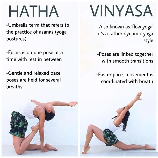 he picture illustrates a yoga practice, contrasting Hatha and Vinyasa styles.

Hatha Yoga: This section of the image likely features a steady, meditative pose, focusing on alignment and breathing. The posture might be held longer to emphasize stability and mindfulness.

Vinyasa Yoga: In contrast, this part of the picture shows a flowing sequence of poses, where movements are linked with breath. The poses transition smoothly from one to the next, reflecting a dynamic and rhythmic practice.