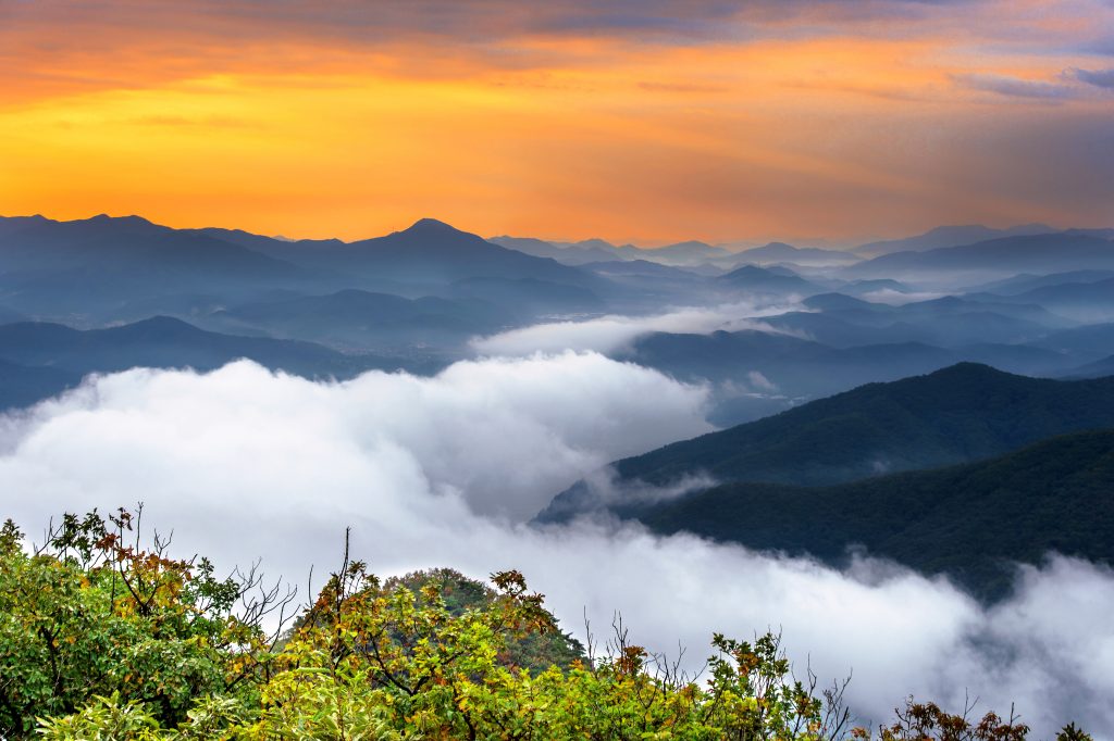 The image shows a stunning mountain scene at sunrise. A thick layer of fluffy white clouds fills the valley, making a dramatic and magical view. The mountains rise above the clouds, their shapes colored in blue and purple by the early light. The sky is bright with orange and yellow, creating a warm glow over everything. In the foreground, colorful trees add extra beauty to the scene. The overall feeling is peaceful and full of amazing natural beauty.