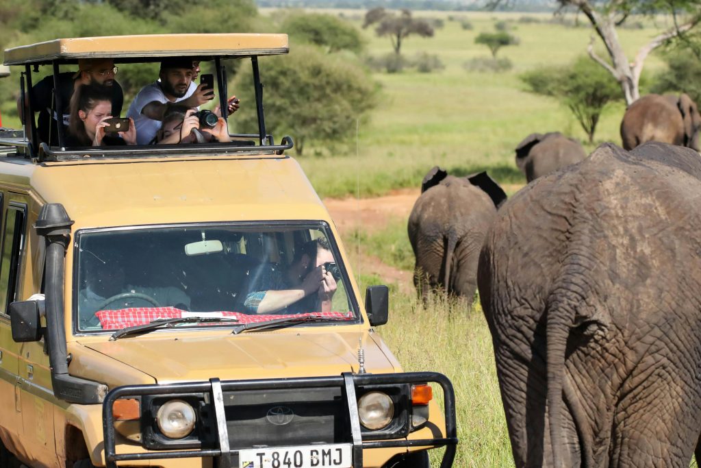 The image shows a yellow jeep with people taking photos of elephants walking in a national park. The park has green grass and trees.