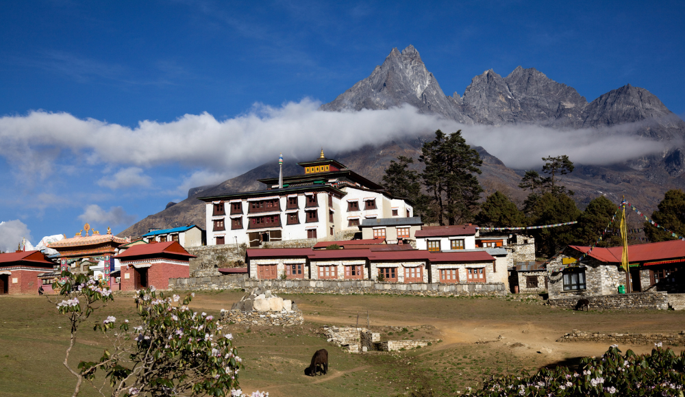 The Tengboche Monastery stands majestically behind the mountains and hills, with open space in front of it. Flanking the monastery are some trees, while nearby houses add to the serene landscape.




