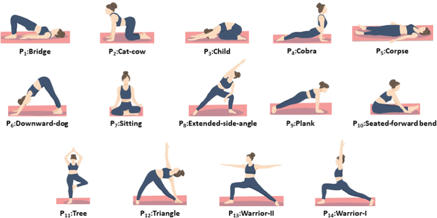 The image shows a series of yoga poses. There are 14 poses in total, arranged in a grid of four rows and four columns. Each pose is labeled with a number and a name, such as "Bridge," "Cat-cow," and "Warrior-II." The poses are demonstrated by a woman in a yoga outfit, and each pose is accompanied by a brief description of the pose.